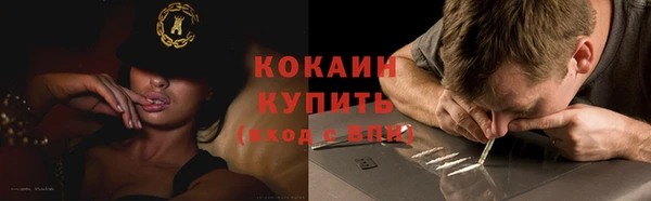хмурый Новозыбков