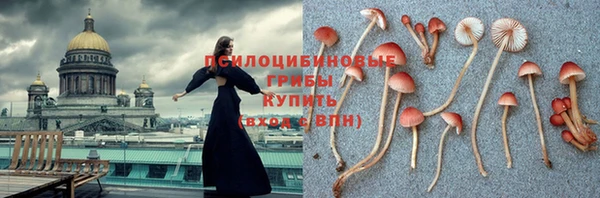 дживик Бежецк