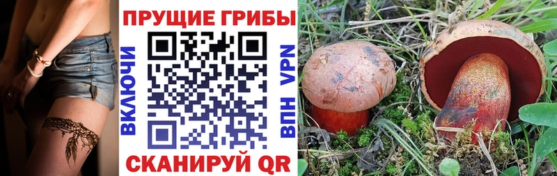 KRAKEN ссылка  где можно купить наркотик  Никольское  Галлюциногенные грибы MAGIC MUSHROOMS 